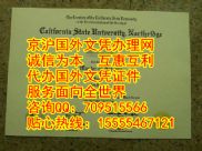 加州州立大学北岭分校本科与(CSUN)硕士文凭样本