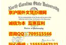 美国学位证书代理|北达卡他州立大学毕业证样本|