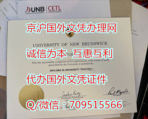 新布伦瑞克大学_副本.jpg